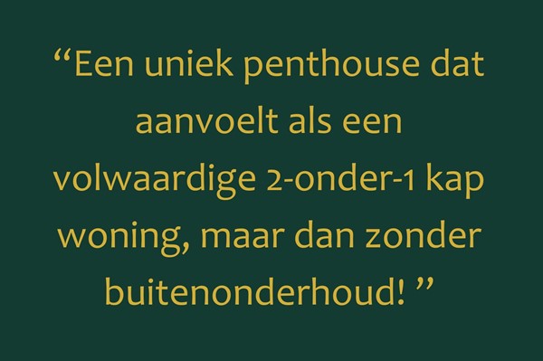 Foto met quote presentatie woning.jpg